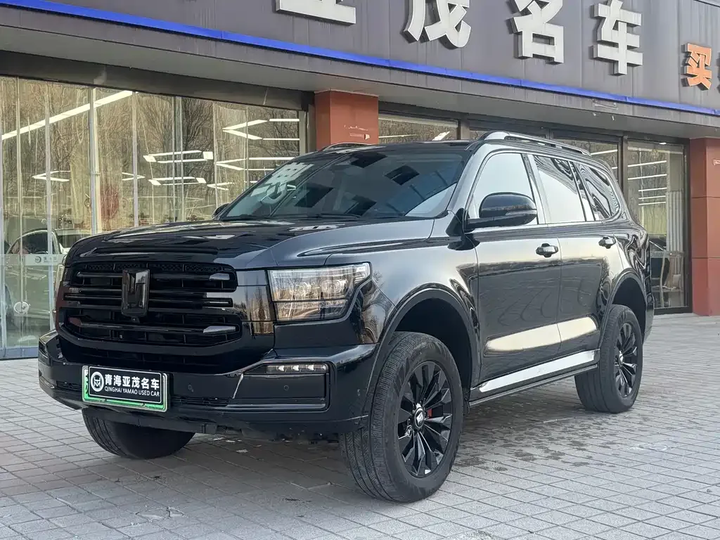 Tank 500 New Energy 2024 из CN, фото 1