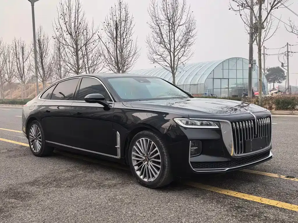 Hongqi H9 2021 из CN, фото 10