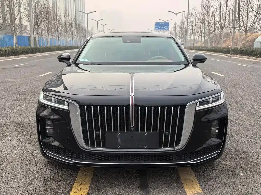 Hongqi H9 2021 из CN, фото 8