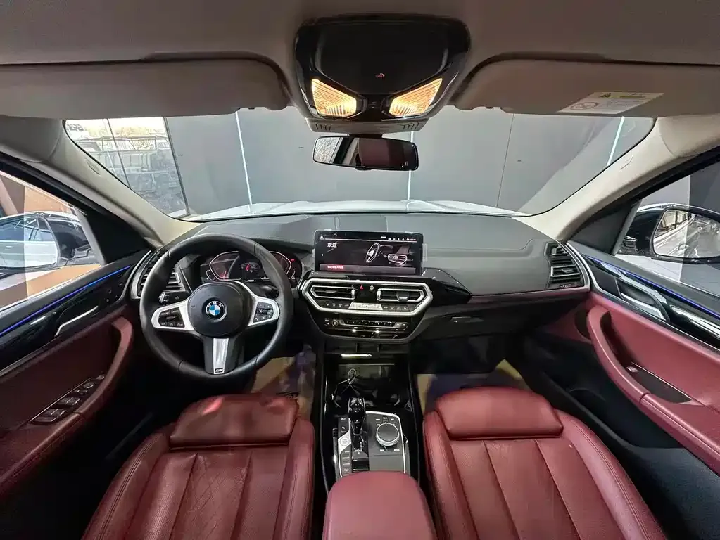 BMW X3 2021 из CN, фото 9