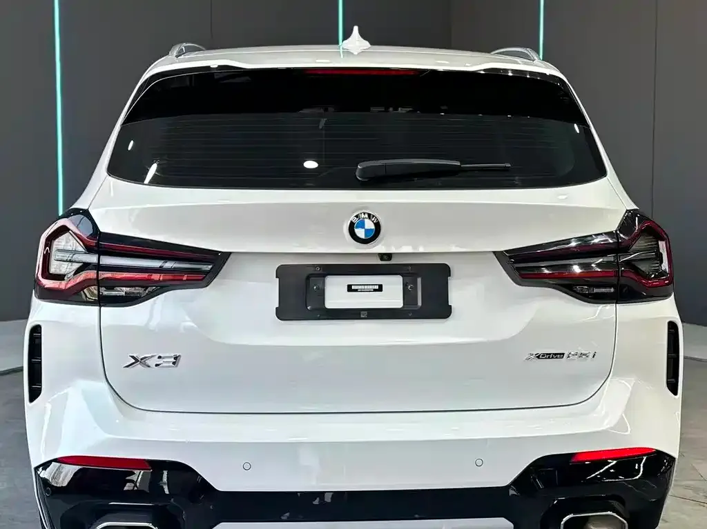 BMW X3 2021 из CN, фото 6