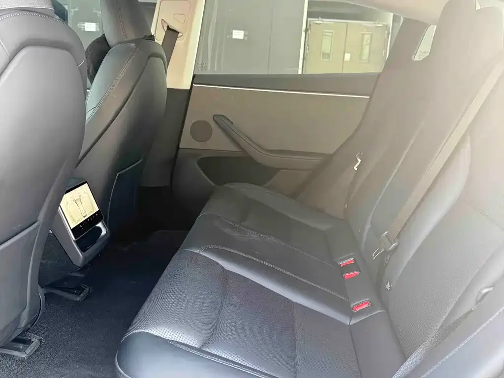 Tesla Model 3 2023 из CN, фото 4
