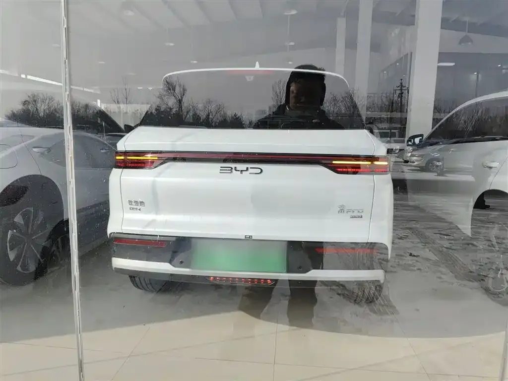 BYD Pro New Energy 2025 из CN, фото 6