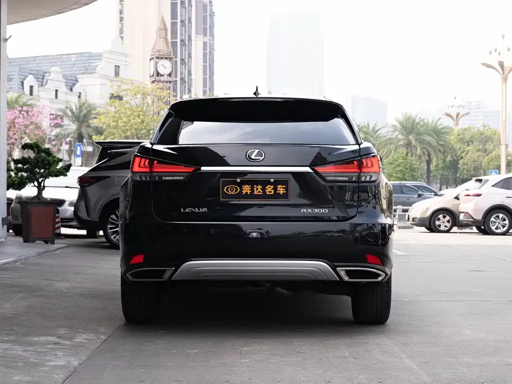 Lexus RX 2022 из CN, фото 7
