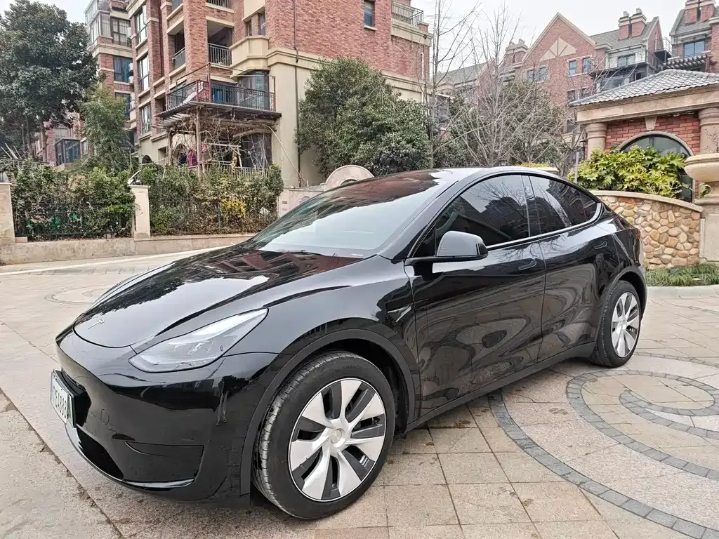 Tesla Model Y — фото 1