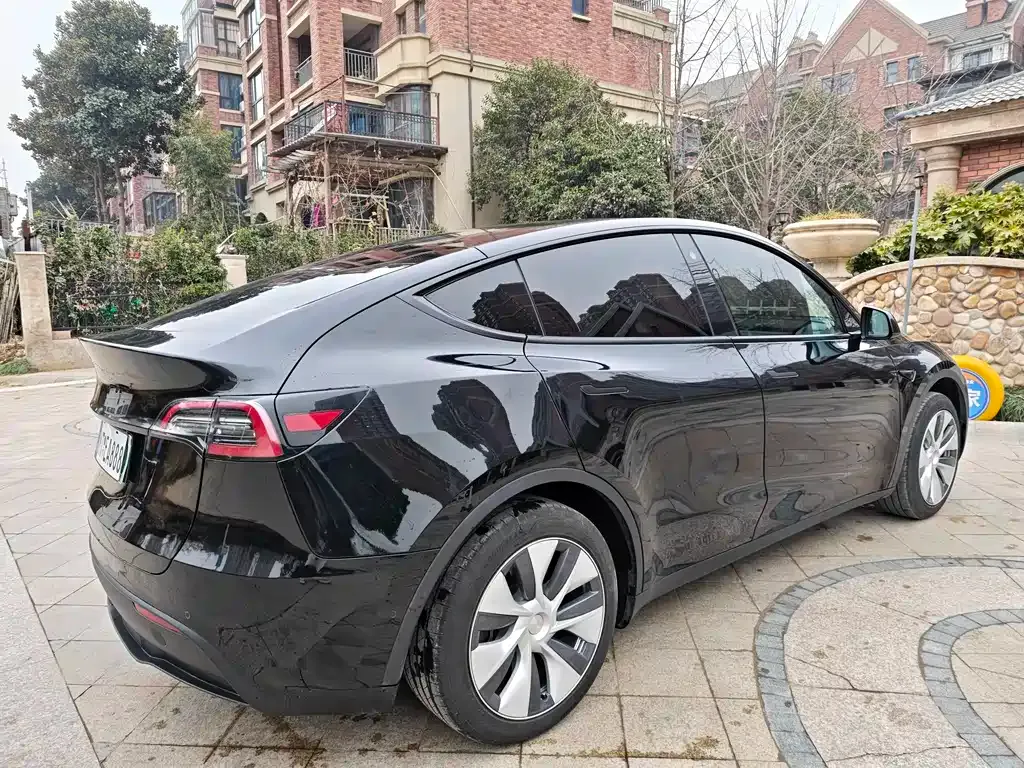 Tesla Model Y — фото 9