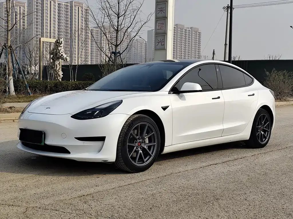 Tesla Model 3 2021 из CN, фото 1