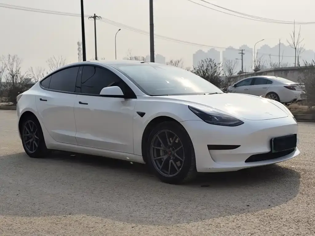 Tesla Model 3 2021 из CN, фото 2