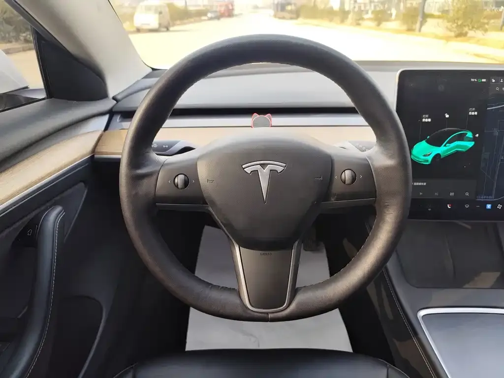 Tesla Model 3 2021 из CN, фото 8
