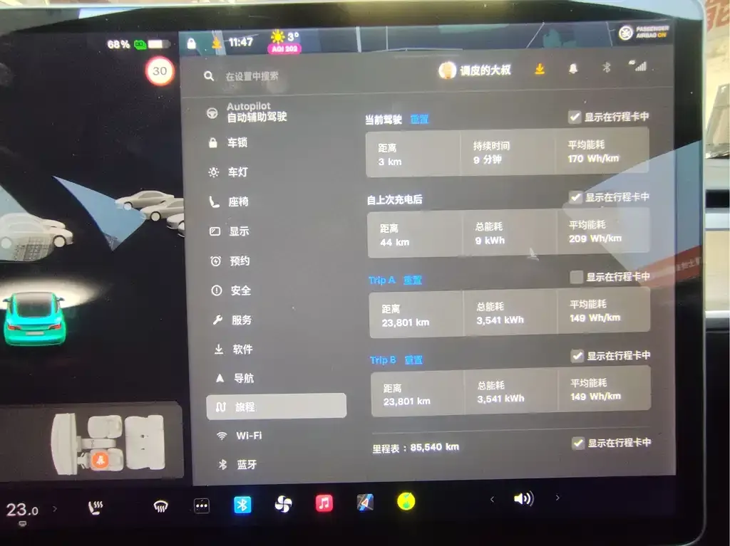 Tesla Model 3 2021 из CN, фото 6