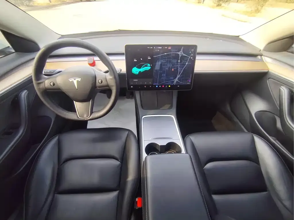 Tesla Model 3 2021 из CN, фото 4