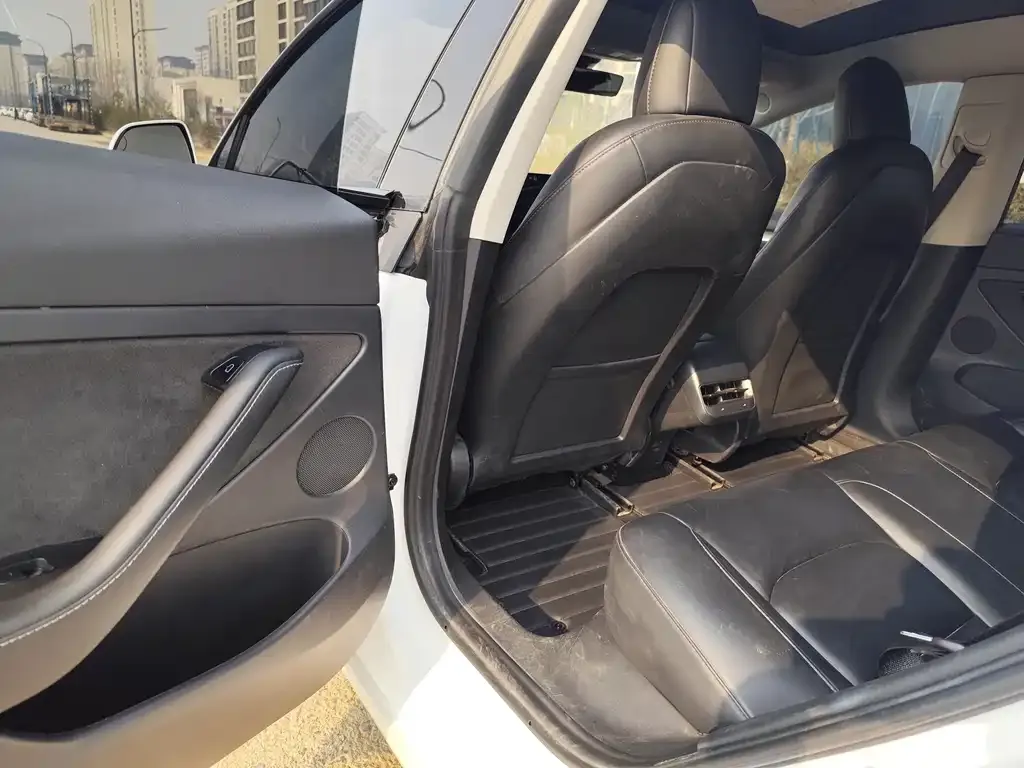 Tesla Model 3 2021 из CN, фото 3