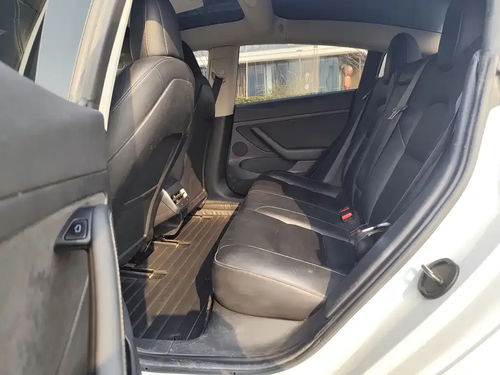 Tesla Model 3 2021 из CN, фото 7