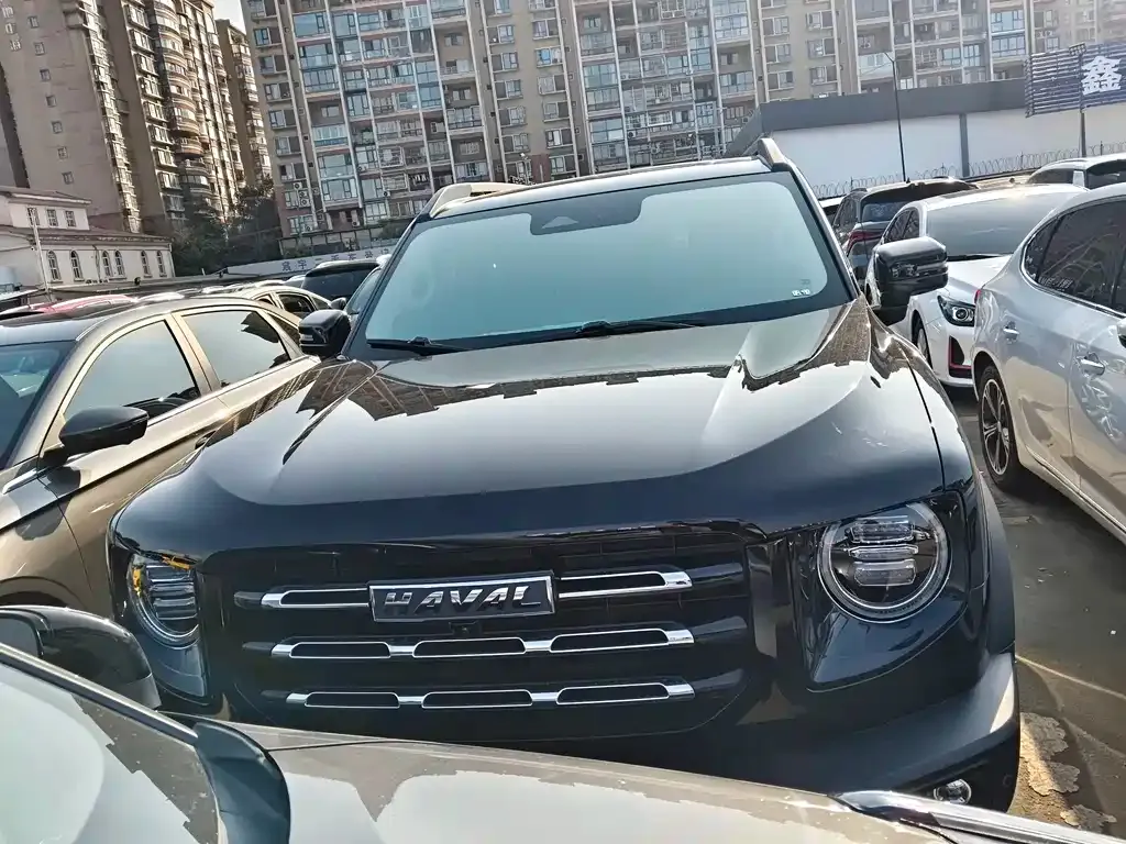 Haval Big Dog 2023 из CN, фото 9