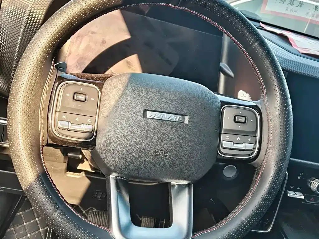 Haval Big Dog 2023 из CN, фото 8