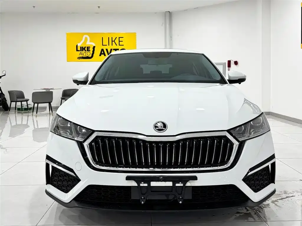 Skoda Octavia 2024 из CN, фото 3