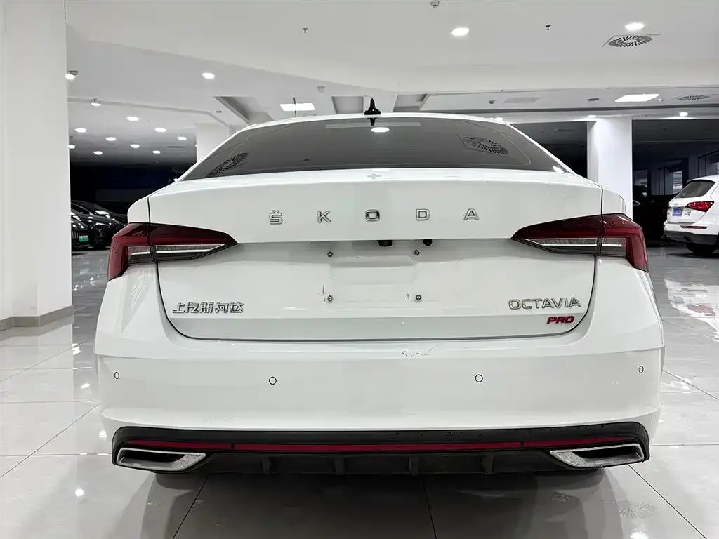 Skoda Octavia 2024 из CN, фото 5