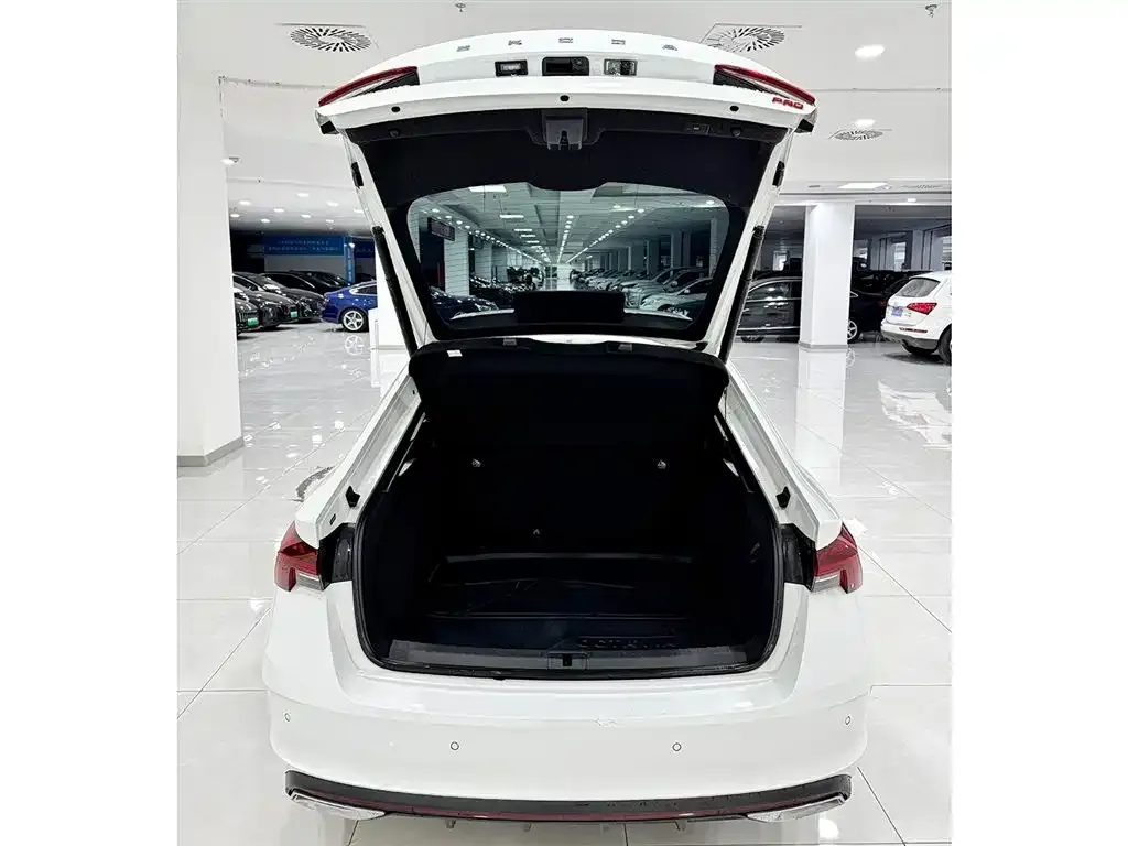 Skoda Octavia 2024 из CN, фото 9