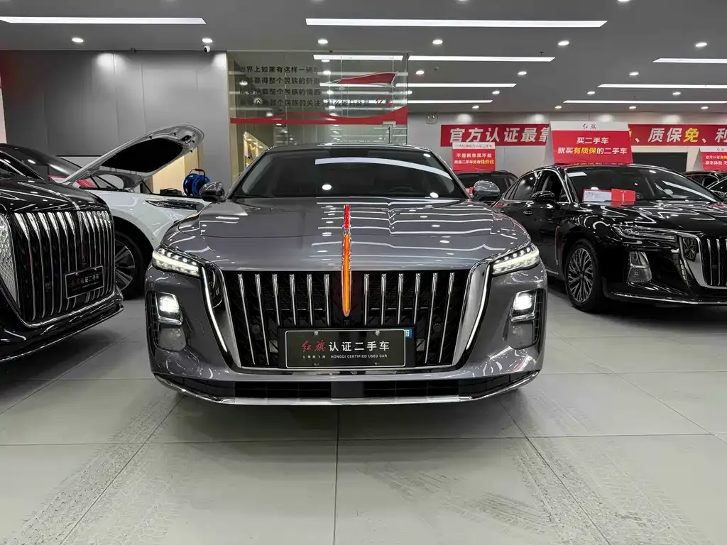 Hongqi H5 PHEV 2025 из CN, фото 9