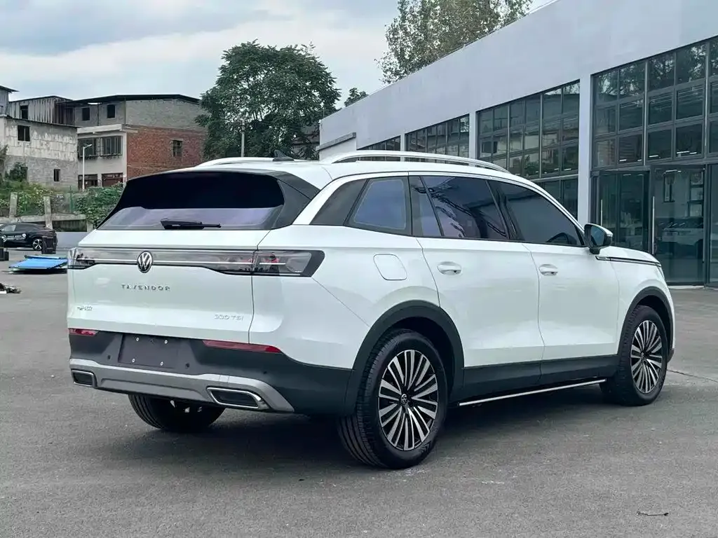 Volkswagen Tavendor 2024 из CN, фото 7