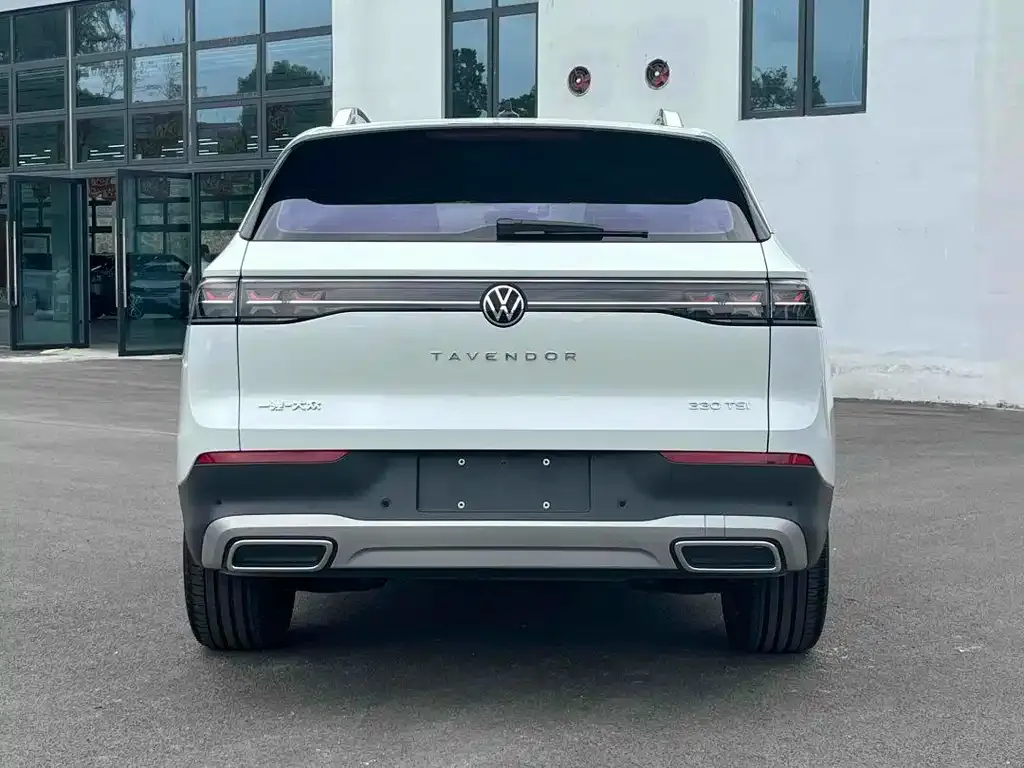 Volkswagen Tavendor 2024 из CN, фото 8