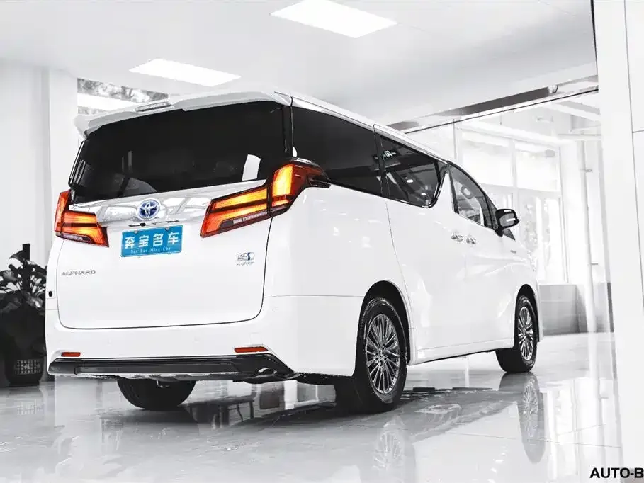 Toyota Alphard 2021 из CN, фото 7