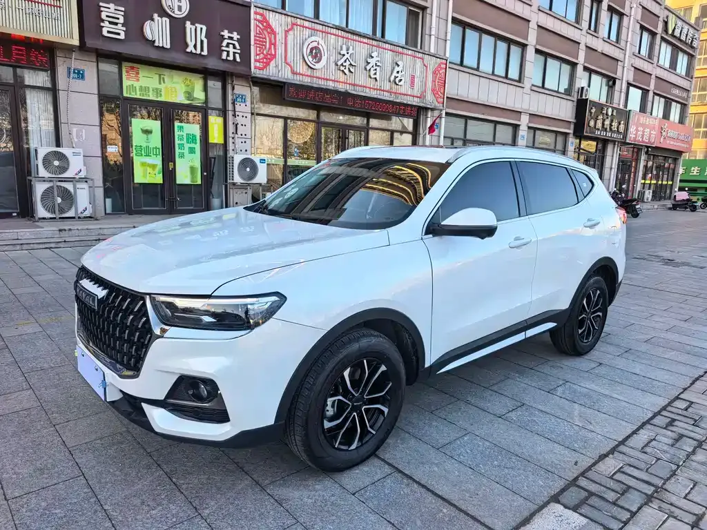 Haval H6 2025 из CN, фото 1