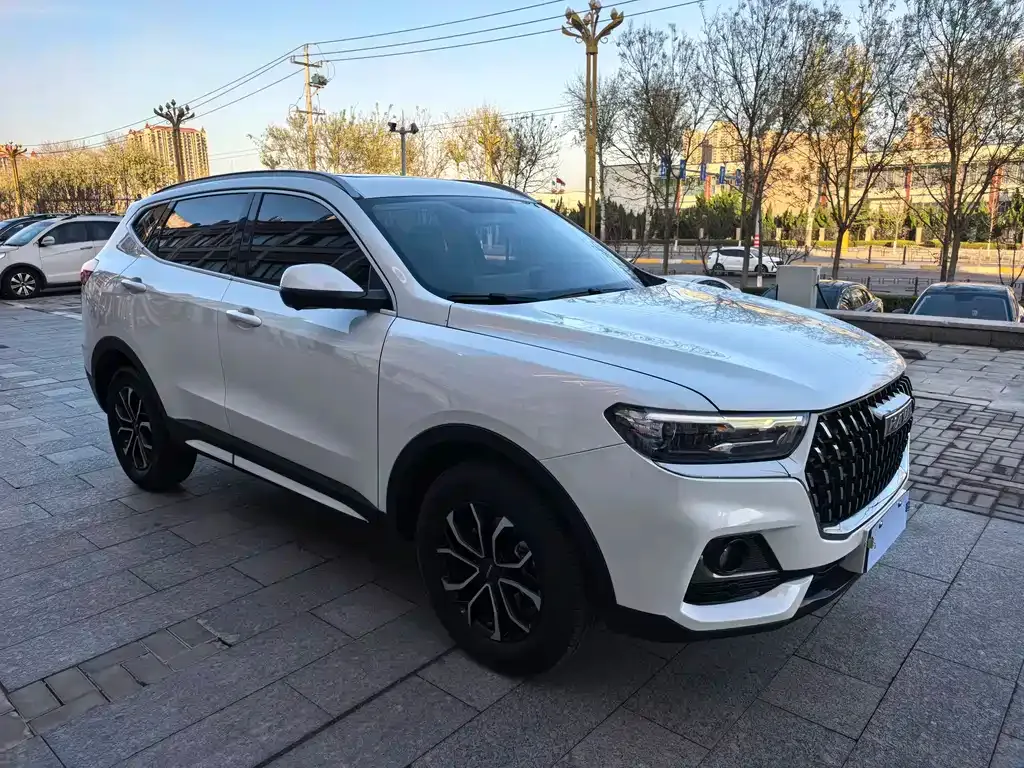 Haval H6 2025 из CN, фото 9