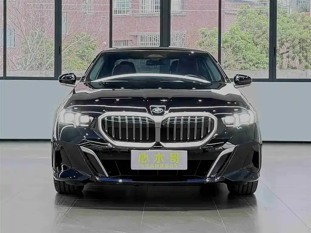 BMW 5 Series 2024 из CN, фото 10