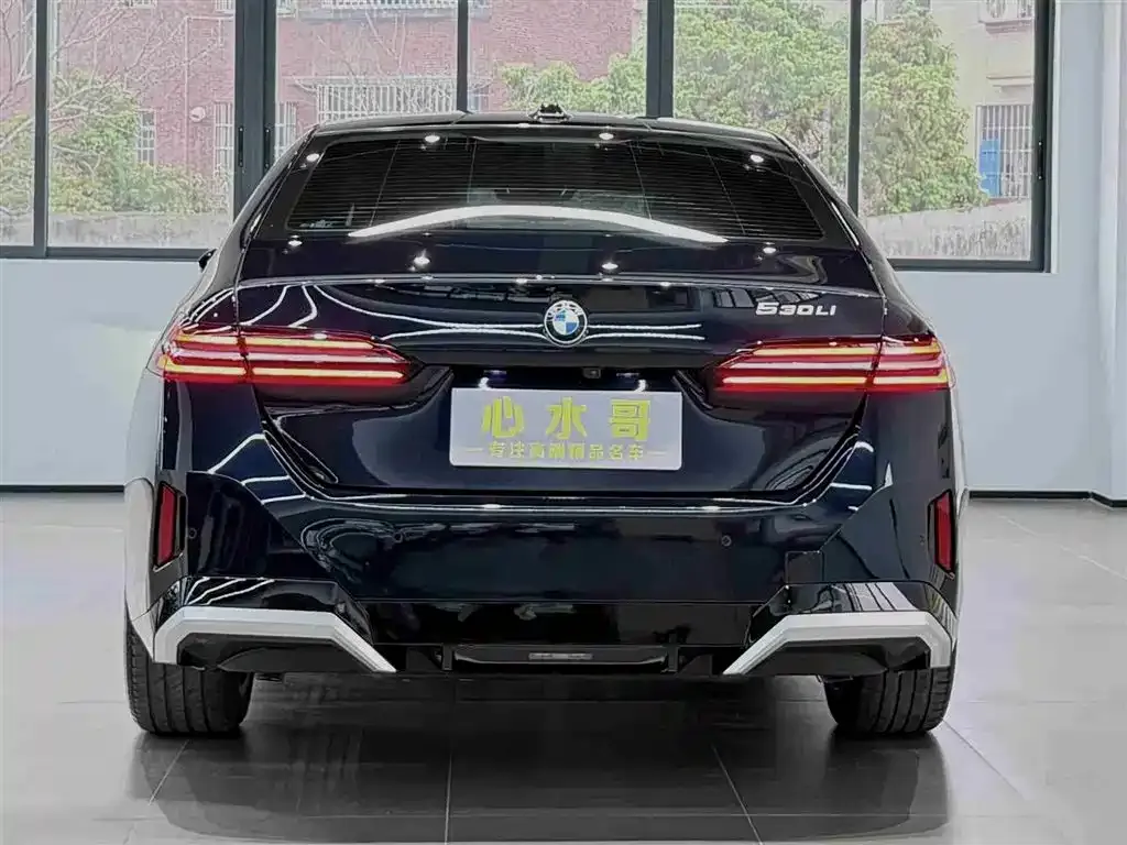 BMW 5 Series 2024 из CN, фото 2
