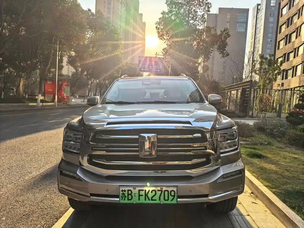 Tank 500 New Energy 2024 из CN, фото 9