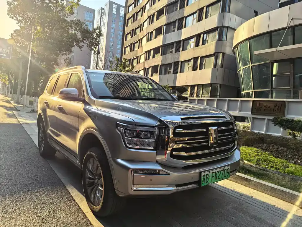 Tank 500 New Energy 2024 из CN, фото 6
