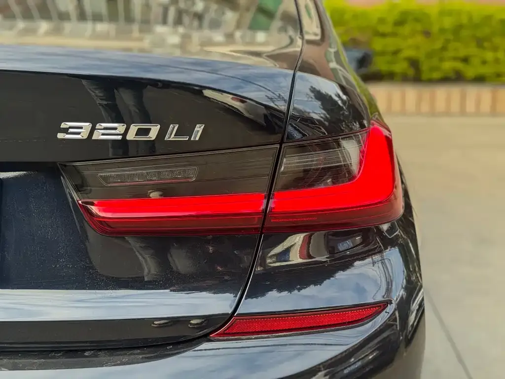 BMW 3 Series 2021 из CN, фото 3