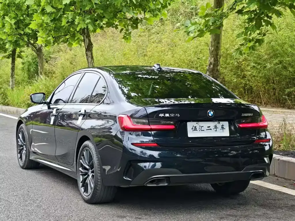 BMW 3 Series 2021 из CN, фото 10