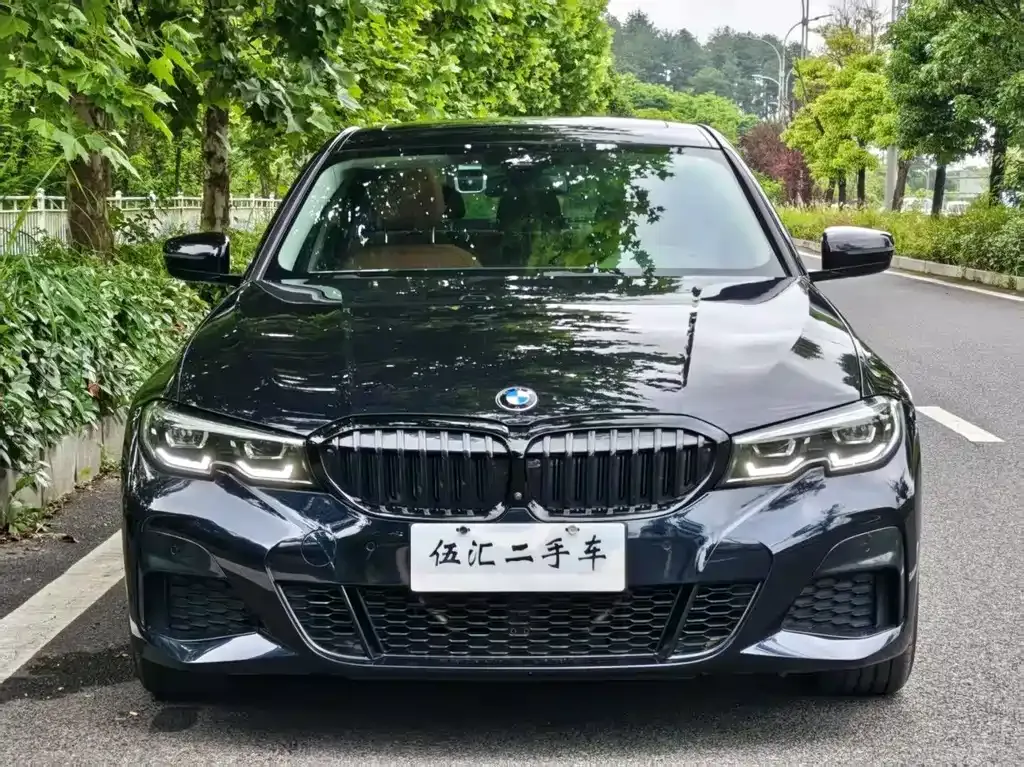 BMW 3 Series 2021 из CN, фото 6