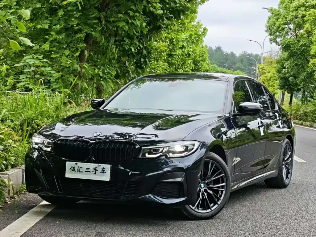 BMW 3 Series 2021 из CN, фото 4
