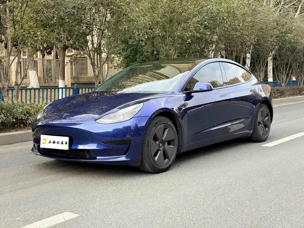 Tesla Model 3 2021 из CN, фото 1