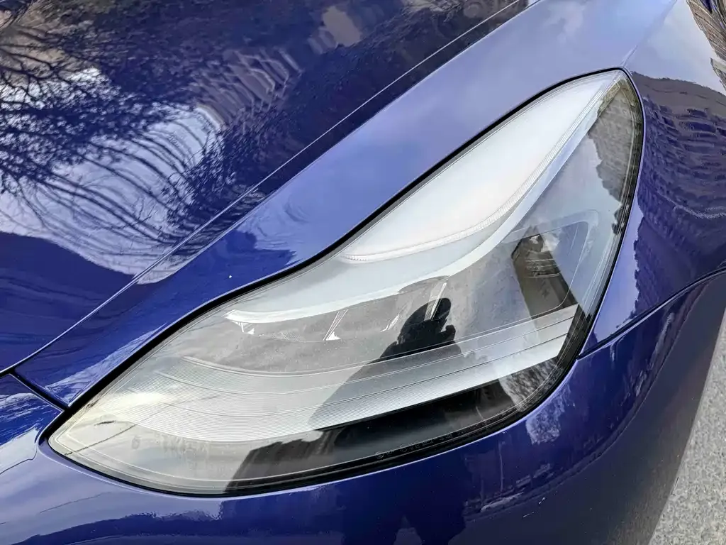 Tesla Model 3 2021 из CN, фото 4