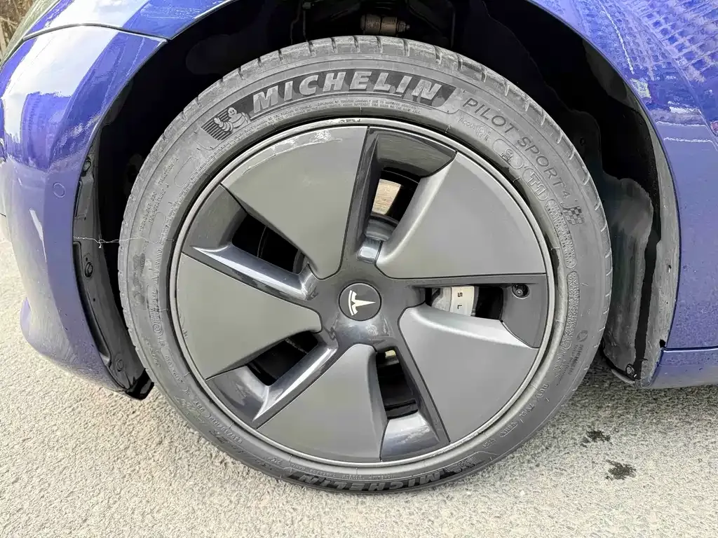 Tesla Model 3 2021 из CN, фото 6