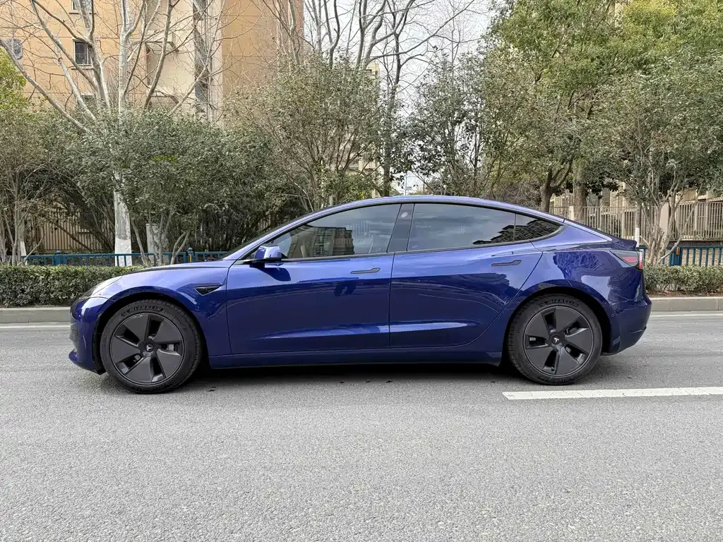 Tesla Model 3 2021 из CN, фото 9