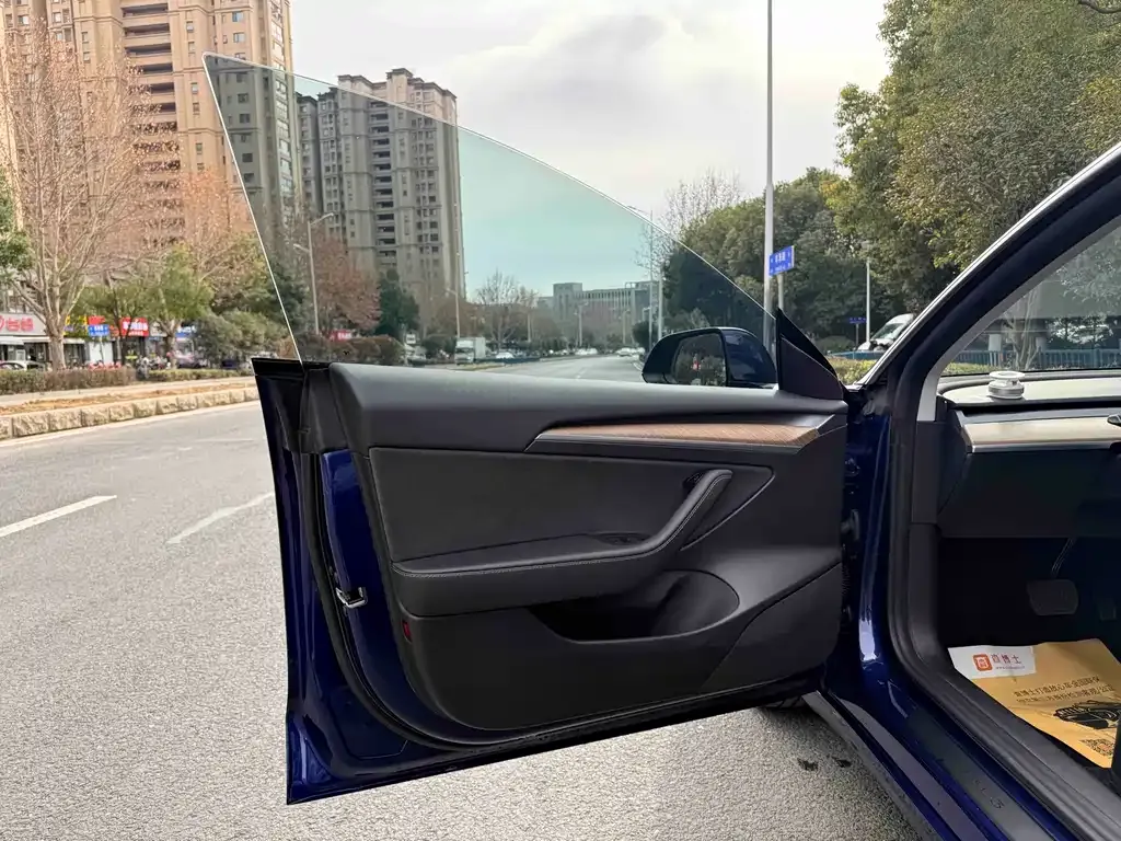 Tesla Model 3 2021 из CN, фото 5