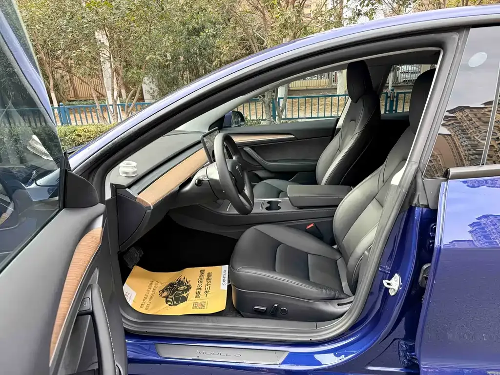 Tesla Model 3 2021 из CN, фото 8