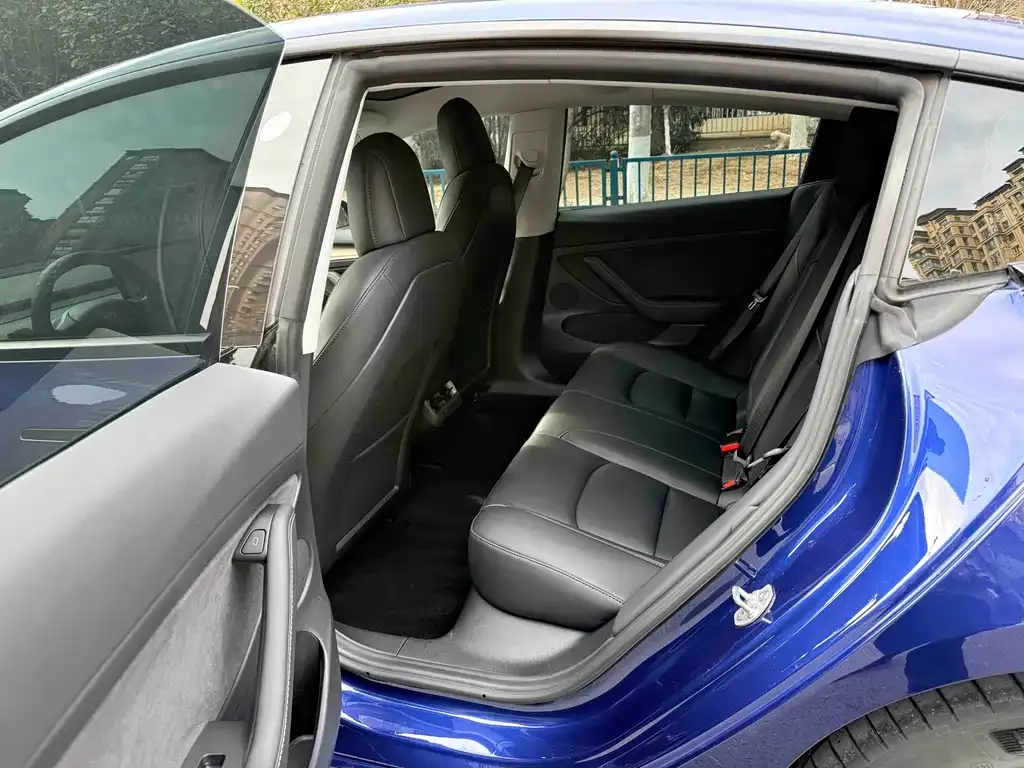 Tesla Model 3 2021 из CN, фото 3