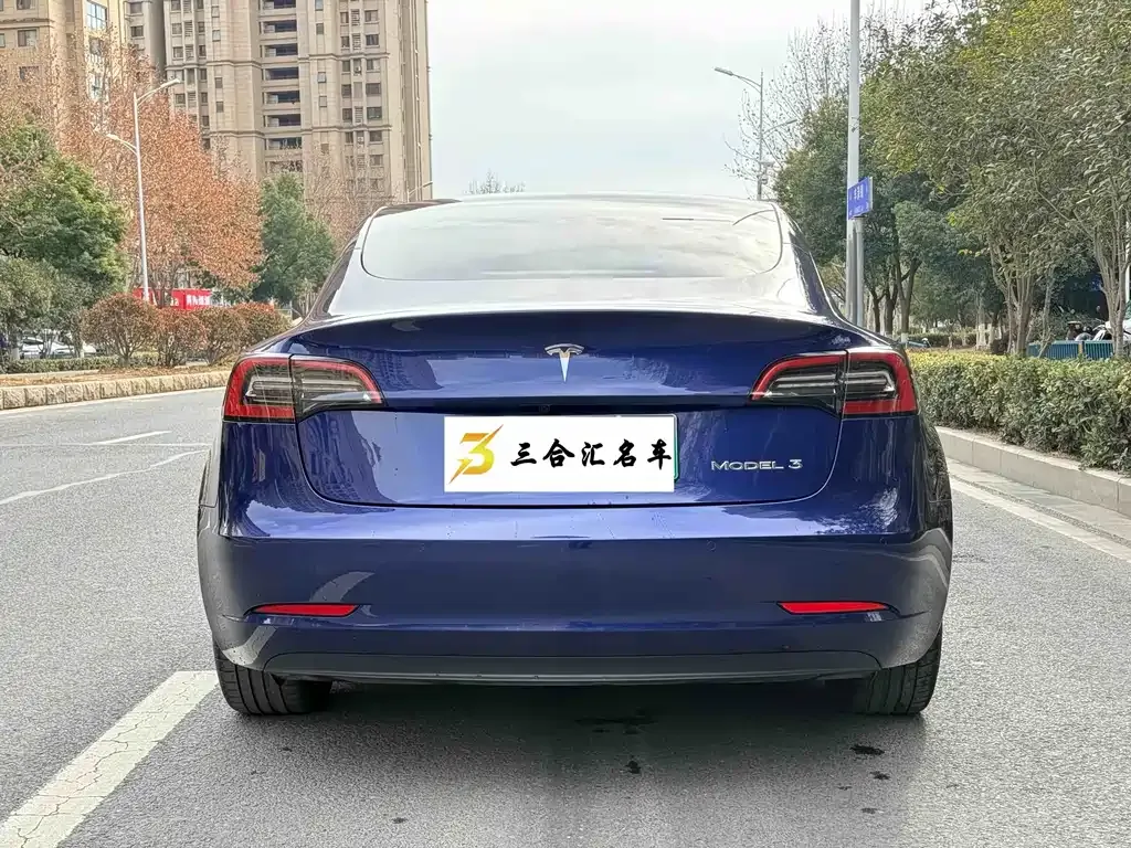 Tesla Model 3 2021 из CN, фото 7