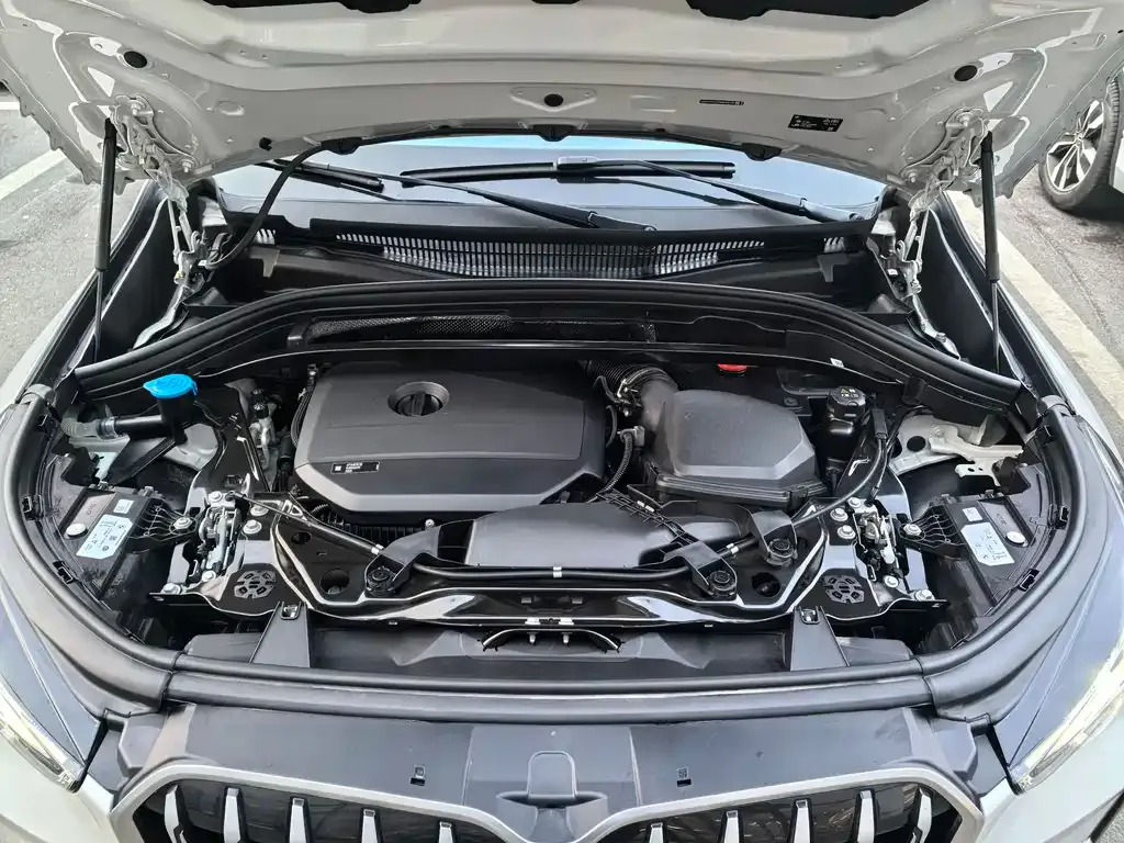 BMW X1 2023 из CN, фото 10