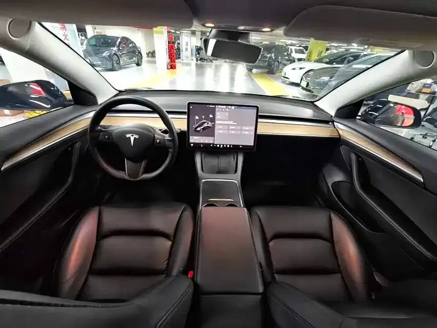 Tesla Model 3 2021 из CN, фото 4