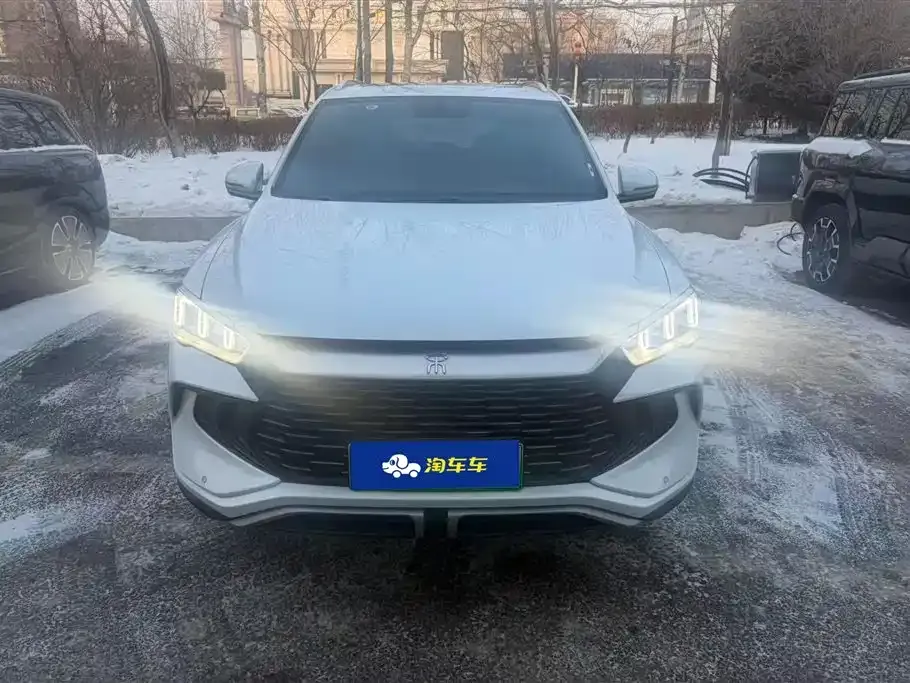 BYD Pro New Energy 2024 из CN, фото 7