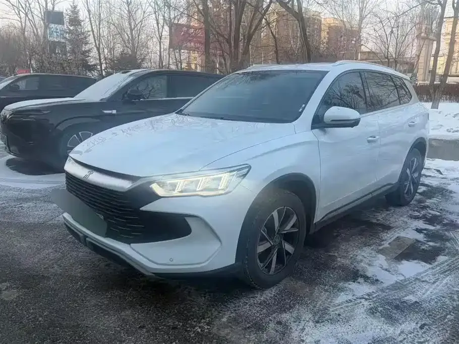 BYD Pro New Energy 2024 из CN, фото 3