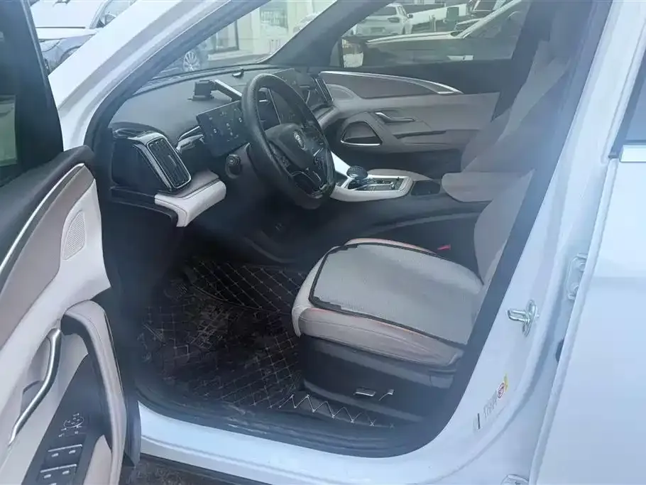BYD Pro New Energy 2024 из CN, фото 8