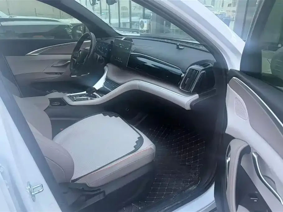 BYD Pro New Energy 2024 из CN, фото 9
